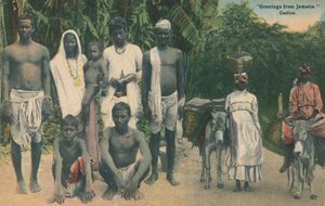 Saludos desde Jamaica. Coolies, principios del siglo XX de Unbekannt