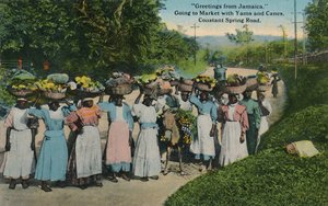 Saludos desde Jamaica. Yendo al mercado con ñames y cañas. Constant Spring Road, 1913
