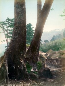 Hata en el camino de Hakone, Japón, principios del siglo XX