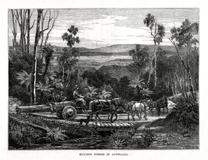 Transporte de madera, Australia de Unbekannt