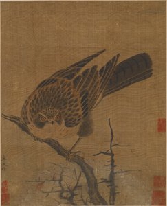 Halcón en una rama sin hojas, posiblemente dinastía Yuan, 1279-1368 de Unbekannt
