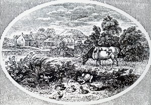 Cabecera por Thomas Bewick