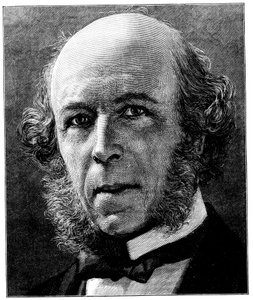 Herbert Spencer, filósofo y sociólogo inglés, 1897 de Unbekannt