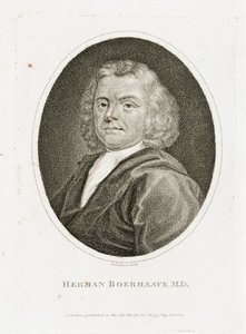 Herman Boerhaave, médico, químico y botánico holandés, principios del siglo XVIII de Unbekannt