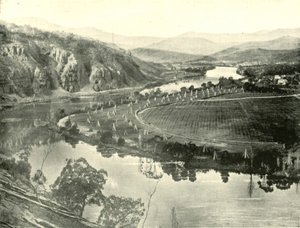 Jardines de lúpulo en Tasmania, 1901 de Unbekannt