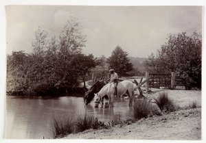Caballos bebiendo en un estanque, c 1890