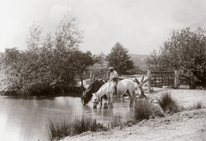 "Caballos bebiendo en el estanque", hacia los años 1890