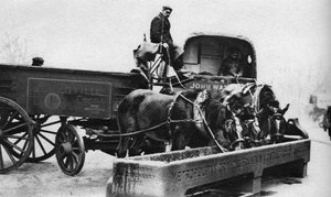 Caballos bebiendo de un abrevadero, Londres, 1926-1927 de Unbekannt