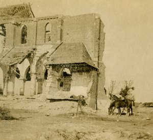 Caballos pastando cerca de una iglesia en ruinas, Frise, norte de Francia, c. 1914-c. 1918 de Unbekannt