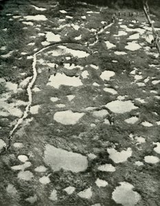 Cómo el clima obstaculizó el avance, 1919