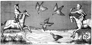 Cómo bañar a un nuevo halcón, siglo XIV 1849