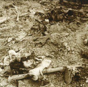 Restos humanos, Verdún, norte de Francia, c1914-c1918 de Unbekannt