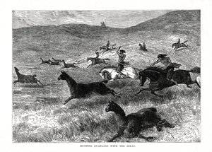 Caza de guanacos con las bolas, Sudamérica, 1877 de Unbekannt