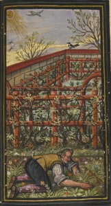 Ilustración para El maravilloso verano de la vida eterna de Jacob Zader, 1603