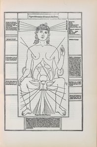 Ilustración de Fasciculo di medicina por Johannes de Ketham, 1493 de Unbekannt