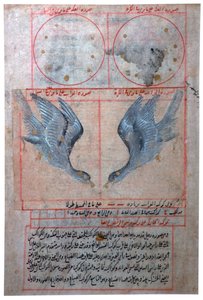 Ilustración de las Constelaciones del Hemisferio Sur, siglo XVI de Unbekannt