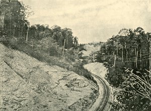 En las Montañas Blackall, 1901 de Unbekannt