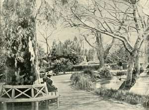 En los Jardines Botánicos, Adelaida, 1901 de Unbekannt