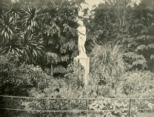 En los Jardines Fitzroy, Melbourne, 1901 de Unbekannt