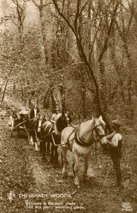 En los Bosques Sombríos, finales del siglo XIX o principios del siglo XX de Unbekannt