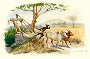 Elevador de agua indio