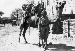 Soldado de camellos indio, Bagdad, 1918 de Unbekannt