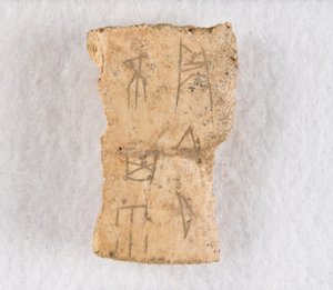 Fragmento de hueso inscrito oráculo, dinastía Shang tardía, ca. 1300-1050 a.C. de Unbekannt