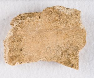 Fragmento de hueso inscrito, hueso oráculo, dinastía Shang tardía, ca. 1300-1050 a.C.
