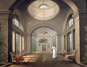 Interior del aviario en el Palacio de Pavlovsk, mediados del siglo XIX de Unbekannt