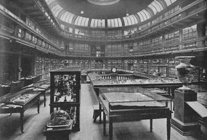 Interior del Museo Geológico, Jermyn Street de Unbekannt