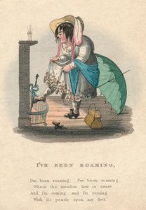 He estado vagando, 1828