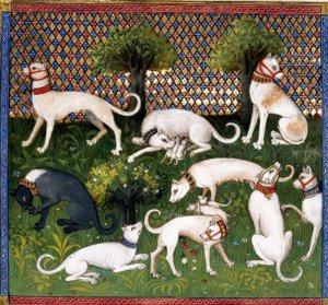 Perros de caza (Alan) / Libro de la Caza