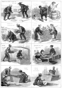Producción de té japonés, 1874 de Unbekannt