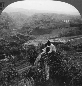 Java, Indonesia, c1900s