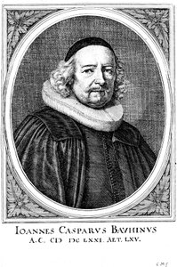 Jean Caspar Bauhin 1606-1659, médico y botánico suizo de Unbekannt