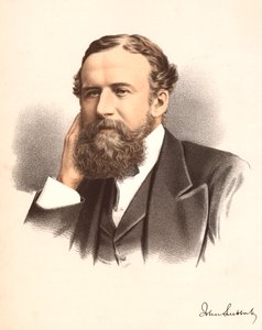 John Lubbock, primer Barón Avebury, banquero, arqueólogo, naturalista y político inglés, c. 1880 de Unbekannt