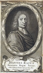 John Ray (Wray), naturalista inglés, c 1700 de Unbekannt