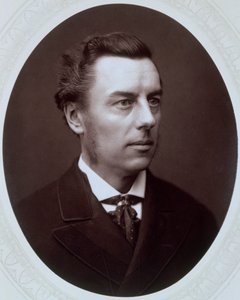 Joseph Chamberlain, político liberal británico, c1885 de Unbekannt