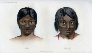 Juri y Botocudos, de la nación Brasilio-Guaraní, 1848
