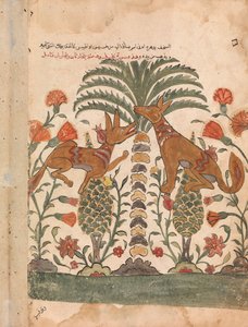 Kalila reprendiendo a Dimna, Folio de un Kalila wa Dimna, siglo XVIII