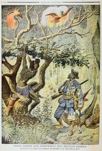 Cazando aves del paraíso, Nueva Guinea, 1908 de Unbekannt