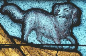 La Ferté-Bernard, perro / Vidriera siglo XV de Unbekannt