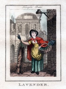 Lavanda, Temple Bar, Londres, 1805 de Unbekannt