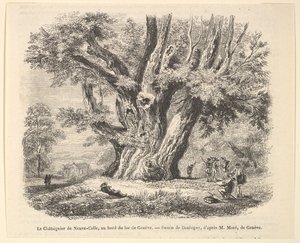 El castaño de Neuve-Celle, a orillas del lago de Ginebra, después de Daubigny de Unbekannt