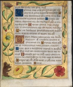 Hoja de un Salterio y Libro de Oraciones: Borde ornamental con flores y ardilla (verso) de Unbekannt