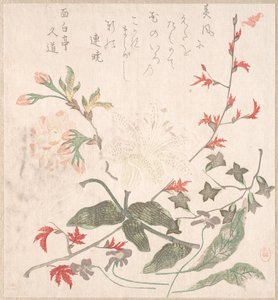 Lirio, Violetas, Flores de Cerezo, Forsythia y una Rama de Arce Rojo, siglos XVIII-XIX