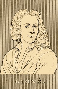 Linne, 1707-1778, 1830 de Unbekannt