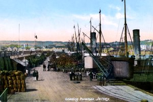 Cargando papas, Jersey, 1908 de Unbekannt