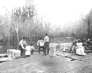 Cargando naranjas en el río Ocklawaha, Florida, EE.UU., c1900