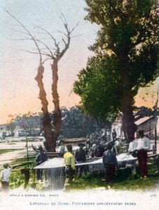 Lordelo do Ouro, cerca de Oporto, Portugal, 1903 de Unbekannt